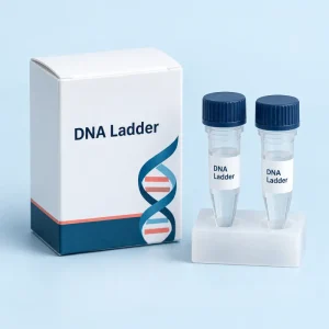 Illustrative a DNA size-marker reagent supplied in a compact tube format.